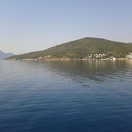 Hotel Andreas - Agistri Skála Екстериор снимка